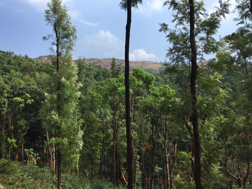 Cloud 9 Homestay Attigundi ภายนอก รูปภาพ