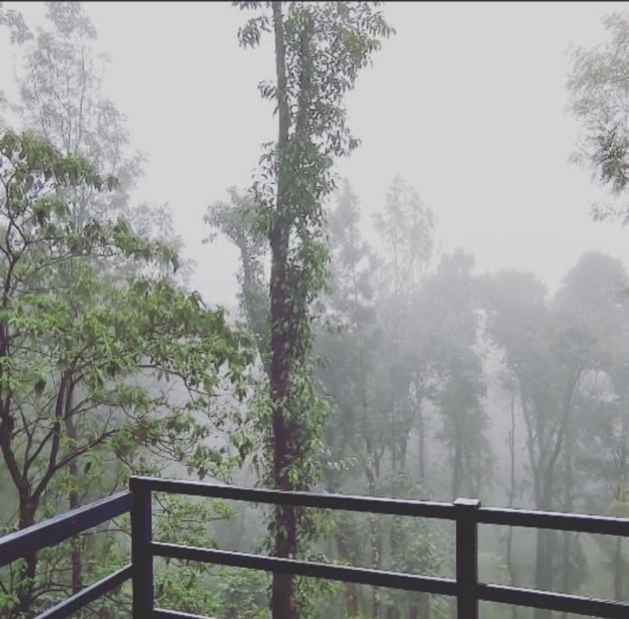 Cloud 9 Homestay Attigundi ภายนอก รูปภาพ